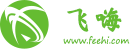nft